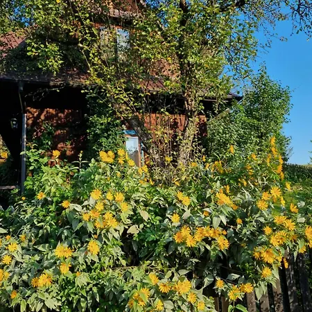 Miodowa Hytte Łapsze Niżne