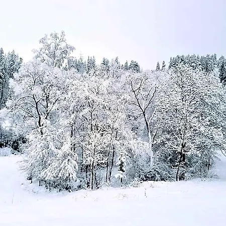 Miodowa Domek letniskowy *