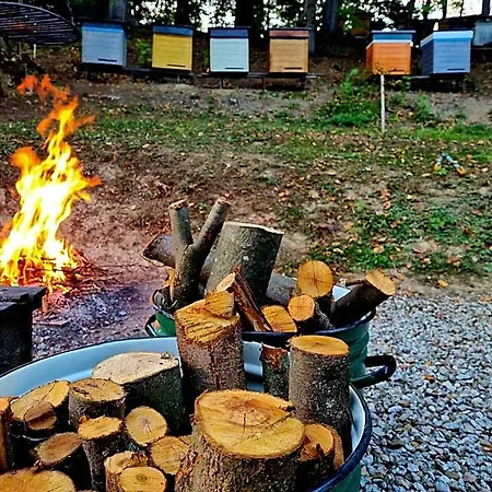 Domek letniskowy Miodowa *