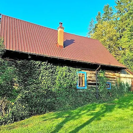 Domek letniskowy Miodowa
