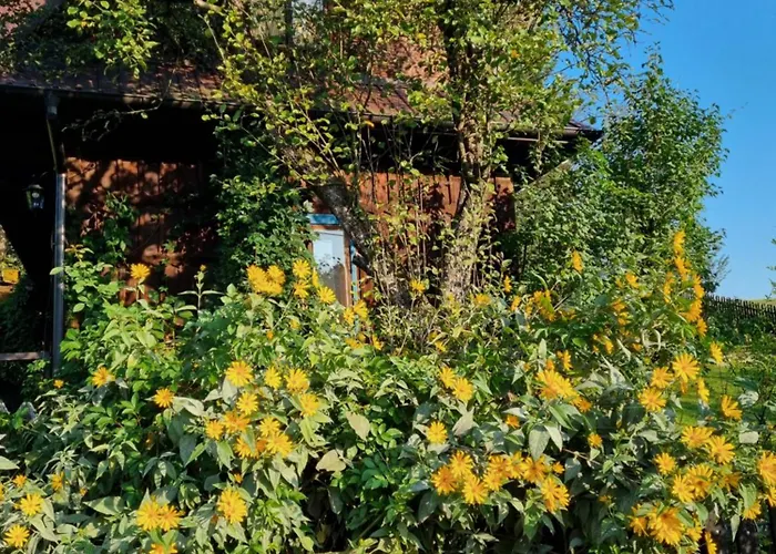 Miodowa Lodge Łapsze Niżne